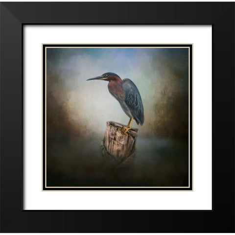 The Perfect Perch Black Modern Wood Framed Art Print with Double Matting by Parker, Kelley