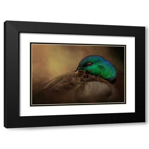 Keeping One Eye Open Black Modern Wood Framed Art Print with Double Matting by Parker, Kelley