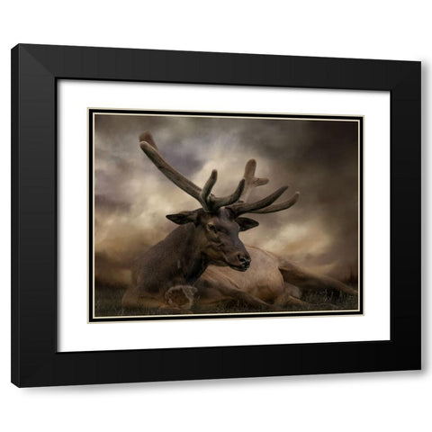 Headstrong Black Modern Wood Framed Art Print with Double Matting by Parker, Kelley