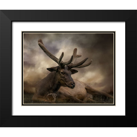 Headstrong Black Modern Wood Framed Art Print with Double Matting by Parker, Kelley