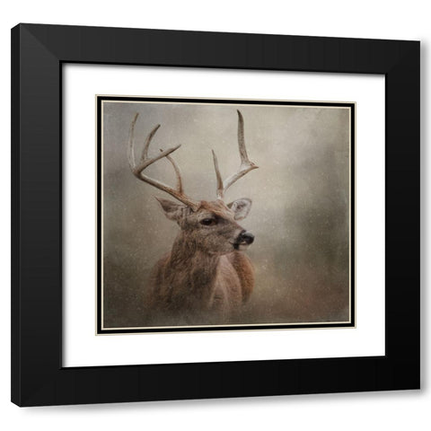 Winter Messenger Black Modern Wood Framed Art Print with Double Matting by Parker, Kelley