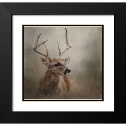 Winter Messenger Black Modern Wood Framed Art Print with Double Matting by Parker, Kelley