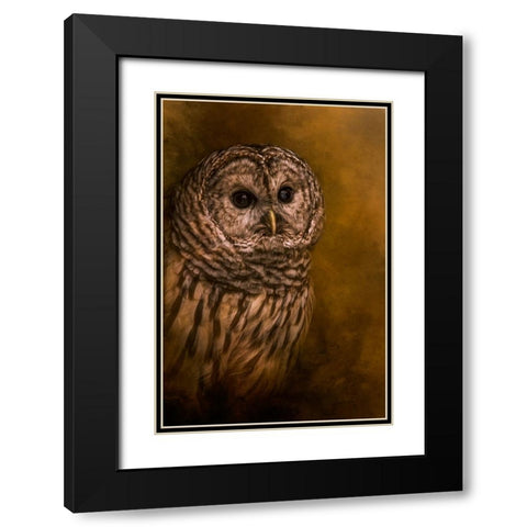 Curious Eyes Black Modern Wood Framed Art Print with Double Matting by Parker, Kelley