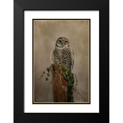 Small But Mighty Black Modern Wood Framed Art Print with Double Matting by Parker, Kelley