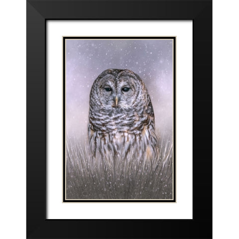 Winters Twilight Black Modern Wood Framed Art Print with Double Matting by Parker, Kelley