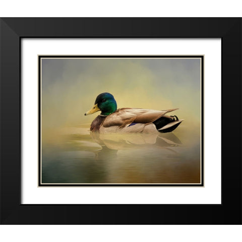 Mr. Mallard Black Modern Wood Framed Art Print with Double Matting by Parker, Kelley