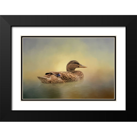 Mrs. Mallard Black Modern Wood Framed Art Print with Double Matting by Parker, Kelley