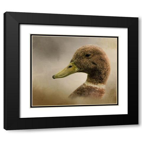 Ring Around the Collar Black Modern Wood Framed Art Print with Double Matting by Parker, Kelley