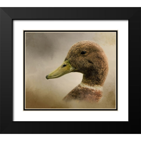 Ring Around the Collar Black Modern Wood Framed Art Print with Double Matting by Parker, Kelley