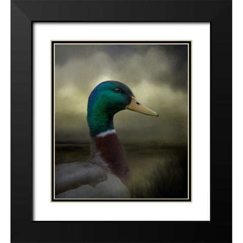 Dapper Drake Black Modern Wood Framed Art Print with Double Matting by Parker, Kelley
