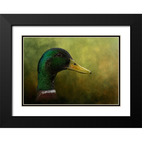 Draped in Green Black Modern Wood Framed Art Print with Double Matting by Parker, Kelley