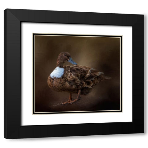 Just Ducky Black Modern Wood Framed Art Print with Double Matting by Parker, Kelley