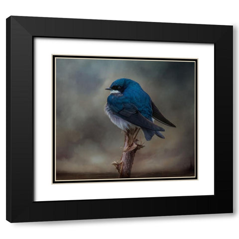 Big Blue Boy Black Modern Wood Framed Art Print with Double Matting by Parker, Kelley