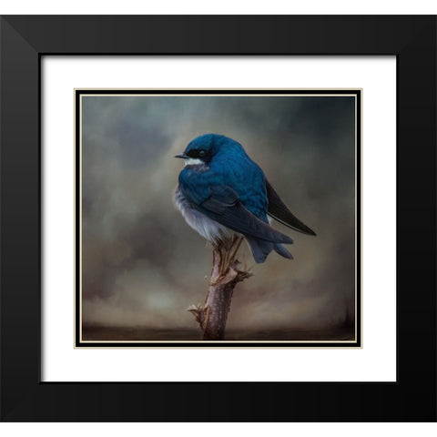 Big Blue Boy Black Modern Wood Framed Art Print with Double Matting by Parker, Kelley