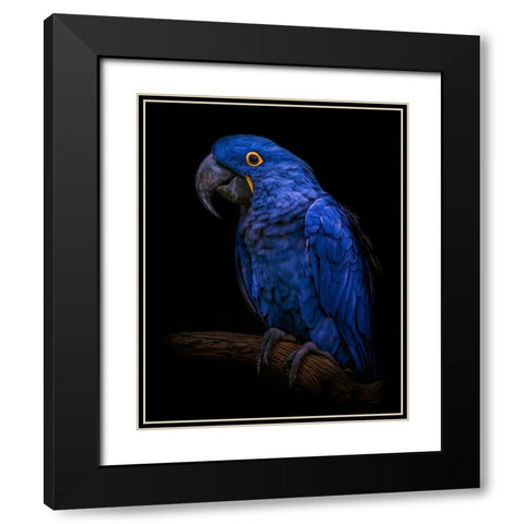 Enchanting   Black Modern Wood Framed Art Print with Double Matting by Parker, Kelley