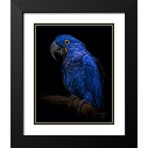 Enchanting   Black Modern Wood Framed Art Print with Double Matting by Parker, Kelley