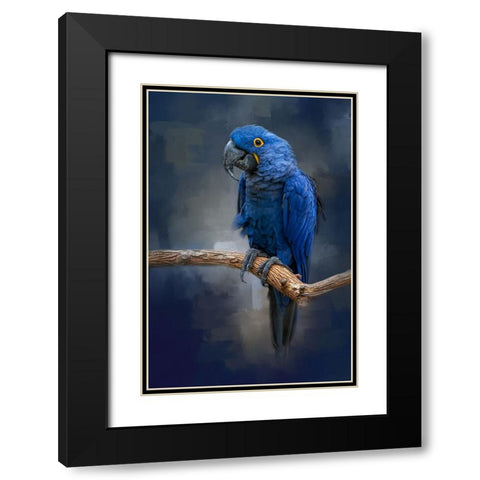 Blue Gem Black Modern Wood Framed Art Print with Double Matting by Parker, Kelley