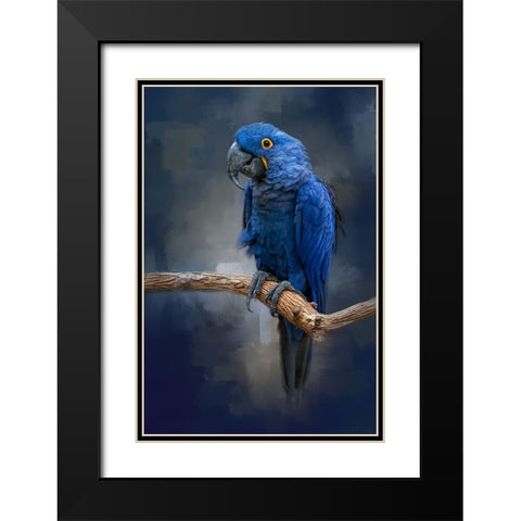 Blue Gem Black Modern Wood Framed Art Print with Double Matting by Parker, Kelley