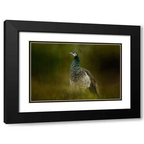 Green Gem Black Modern Wood Framed Art Print with Double Matting by Parker, Kelley
