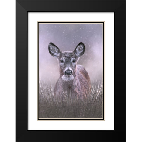 Snow Queen Black Modern Wood Framed Art Print with Double Matting by Parker, Kelley