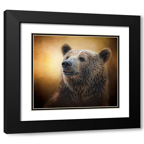 Golden Glow Grizzly Black Modern Wood Framed Art Print with Double Matting by Parker, Kelley