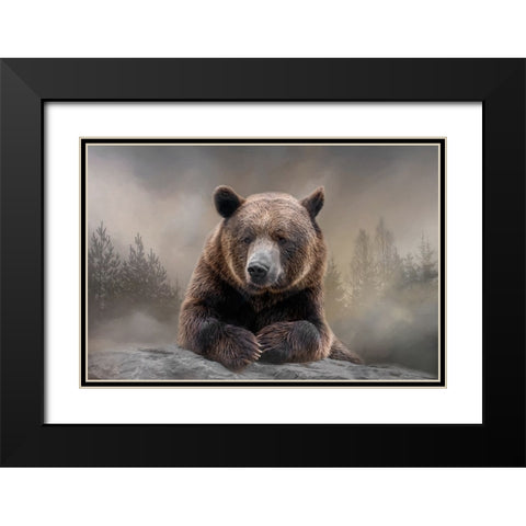Grizzly Summit Black Modern Wood Framed Art Print with Double Matting by Parker, Kelley