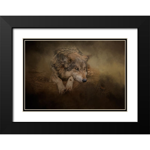 At Rest Black Modern Wood Framed Art Print with Double Matting by Parker, Kelley