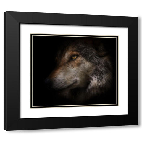 Where Light and Dark Meet Black Modern Wood Framed Art Print with Double Matting by Parker, Kelley