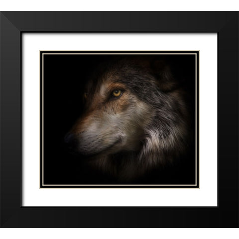 Where Light and Dark Meet Black Modern Wood Framed Art Print with Double Matting by Parker, Kelley
