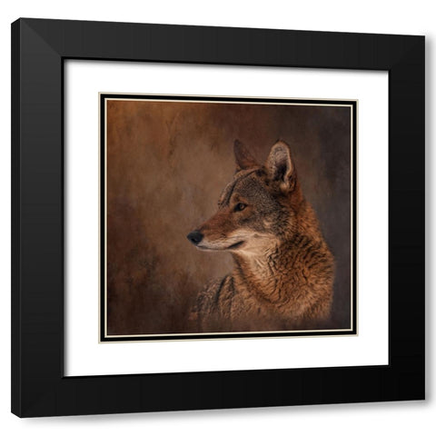 Line of Sight Black Modern Wood Framed Art Print with Double Matting by Parker, Kelley