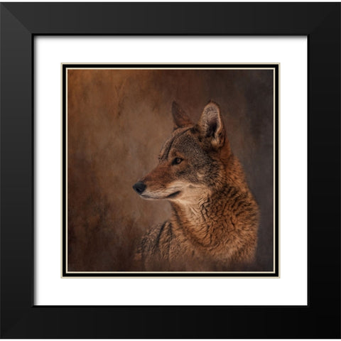 Line of Sight Black Modern Wood Framed Art Print with Double Matting by Parker, Kelley