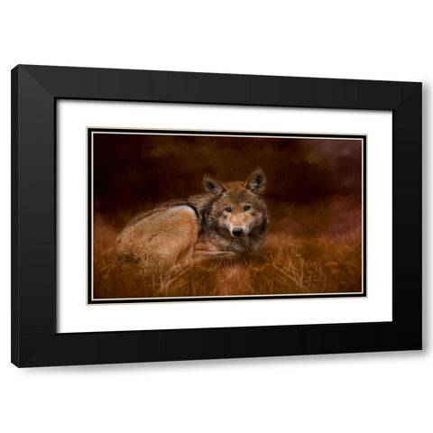 Safe Haven Black Modern Wood Framed Art Print with Double Matting by Parker, Kelley