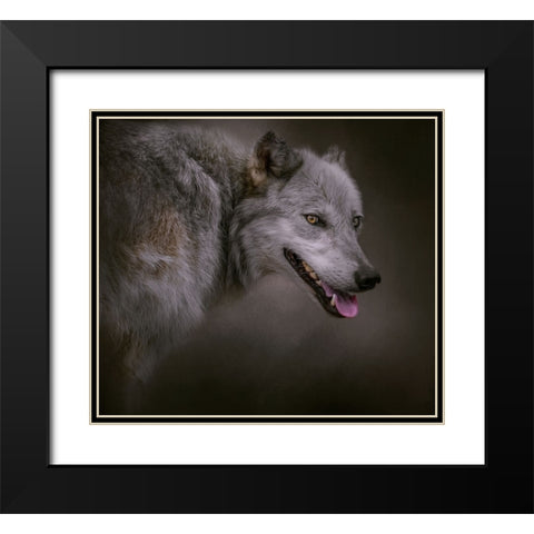 Eye on the Prize Black Modern Wood Framed Art Print with Double Matting by Parker, Kelley