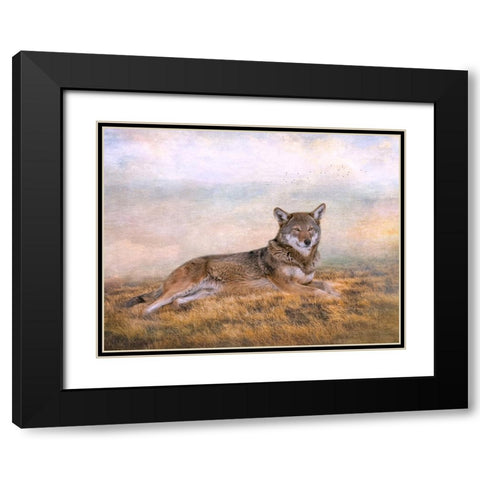 Distant Gaze Black Modern Wood Framed Art Print with Double Matting by Parker, Kelley