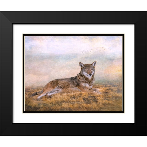 Distant Gaze Black Modern Wood Framed Art Print with Double Matting by Parker, Kelley