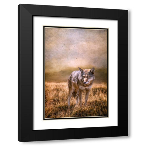 On Patrol Black Modern Wood Framed Art Print with Double Matting by Parker, Kelley