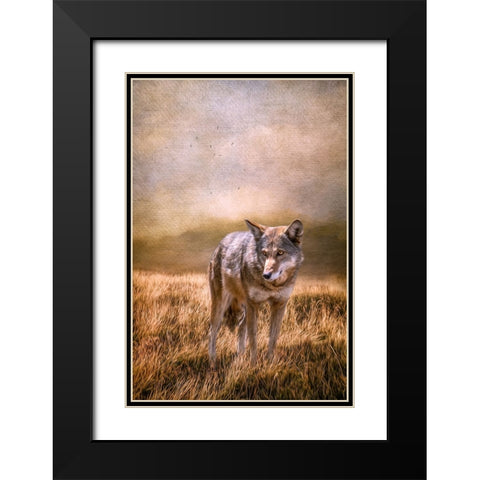 On Patrol Black Modern Wood Framed Art Print with Double Matting by Parker, Kelley