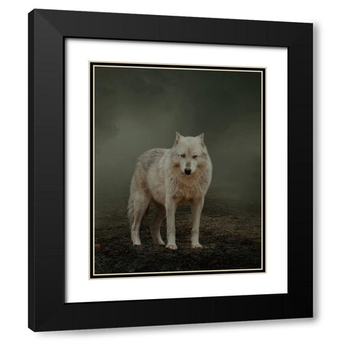 Spirit Guide Black Modern Wood Framed Art Print with Double Matting by Parker, Kelley