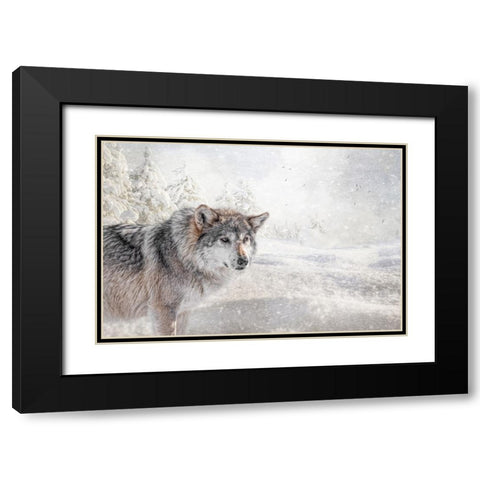 Fresh Snow Black Modern Wood Framed Art Print with Double Matting by Parker, Kelley