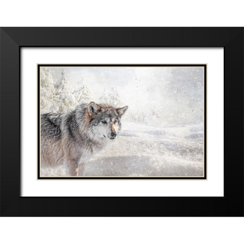 Fresh Snow Black Modern Wood Framed Art Print with Double Matting by Parker, Kelley