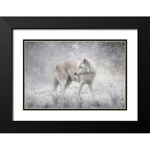The Forest of Snow Black Modern Wood Framed Art Print with Double Matting by Parker, Kelley