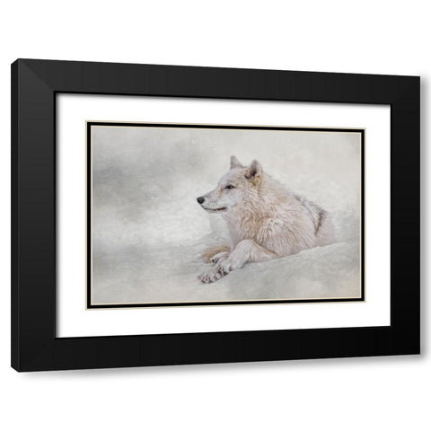 Snow Day Black Modern Wood Framed Art Print with Double Matting by Parker, Kelley