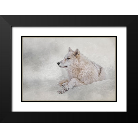 Snow Day Black Modern Wood Framed Art Print with Double Matting by Parker, Kelley