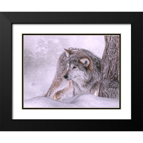 Winters First Hunt Black Modern Wood Framed Art Print with Double Matting by Parker, Kelley