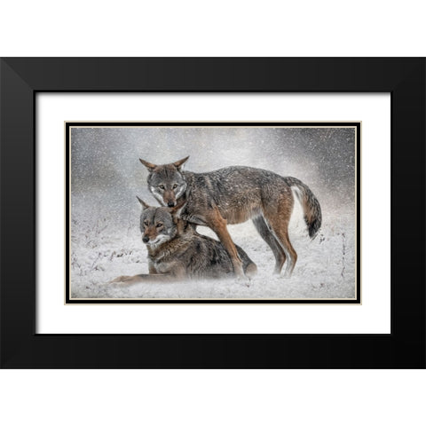 Shelter from the Storm Black Modern Wood Framed Art Print with Double Matting by Parker, Kelley