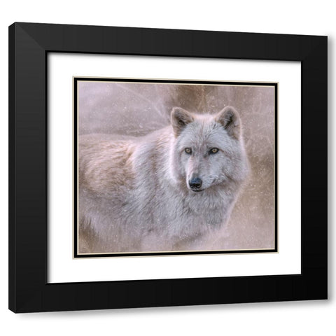 Spirit of the North Black Modern Wood Framed Art Print with Double Matting by Parker, Kelley