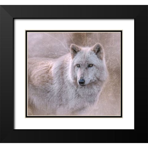 Spirit of the North Black Modern Wood Framed Art Print with Double Matting by Parker, Kelley