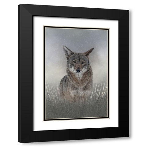 Wolf Among Us Black Modern Wood Framed Art Print with Double Matting by Parker, Kelley