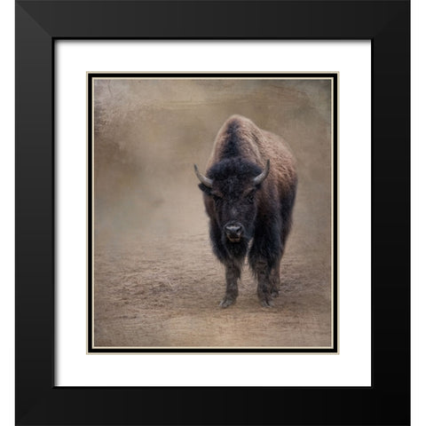 Miss Shaggy Black Modern Wood Framed Art Print with Double Matting by Parker, Kelley