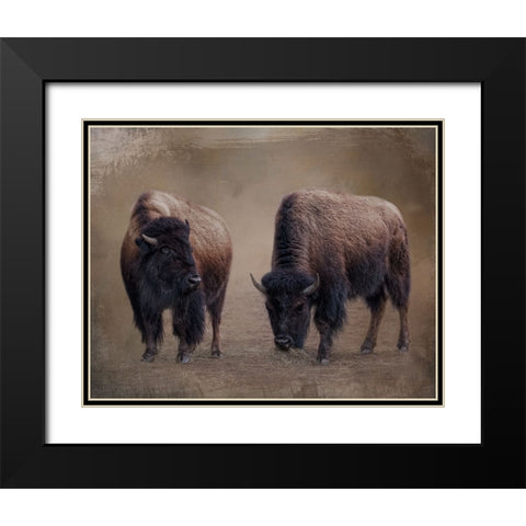 Bison Buddies Black Modern Wood Framed Art Print with Double Matting by Parker, Kelley